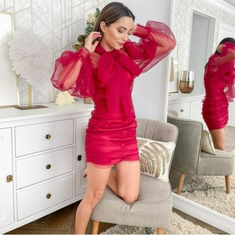 NWT ZARA TULLE SWISS DOT ORGANZA MINI DRESS M